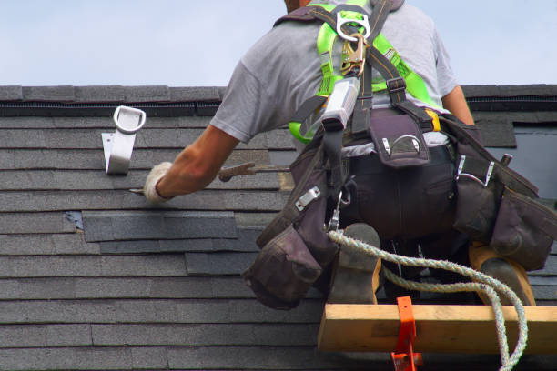 Best Roof Gutter Cleaning  in Smoke Rise, AL
